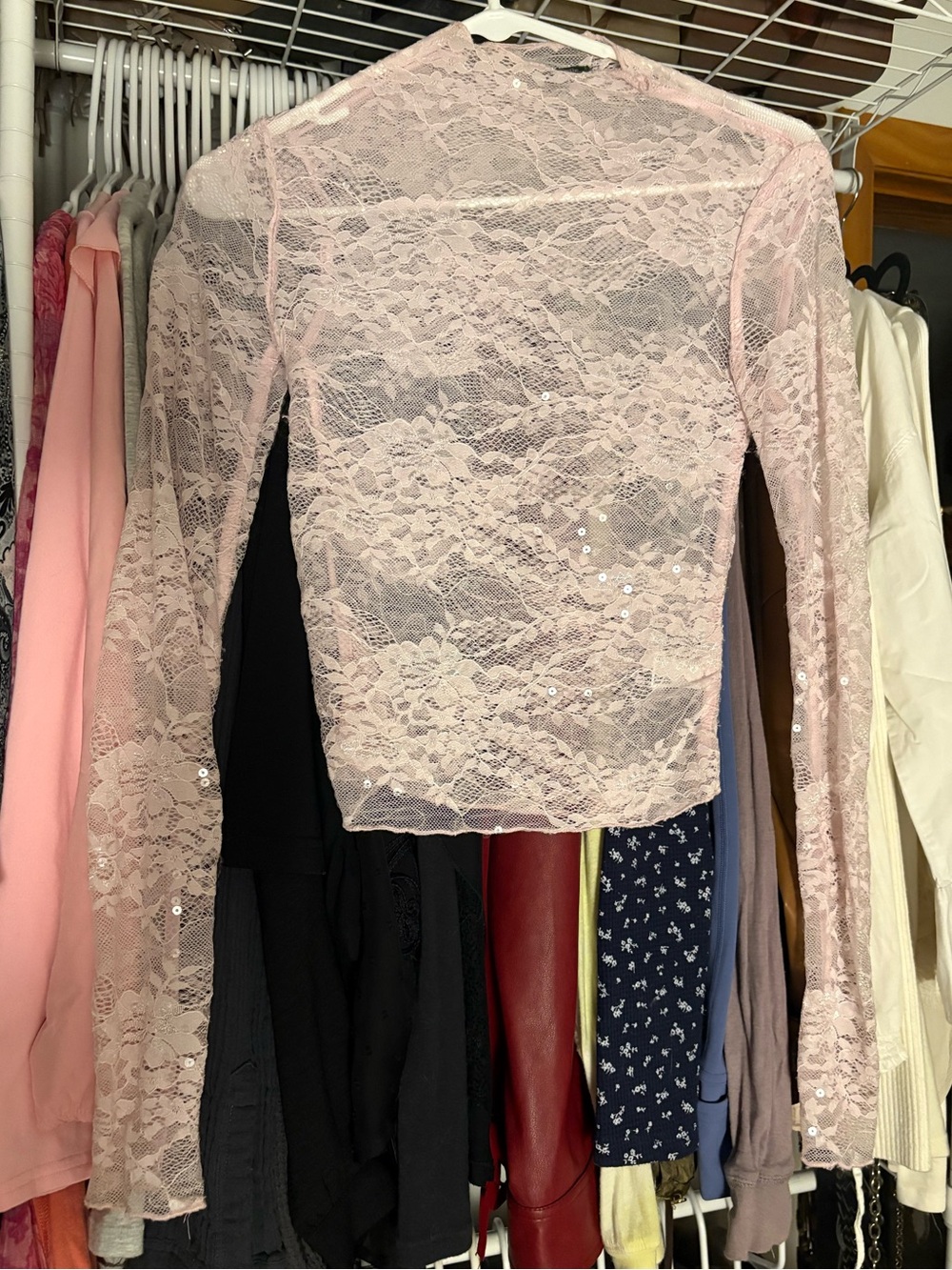 wild fable Pink Sheer Lace Long-Sleeve Top